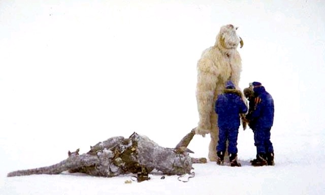 Eine wackelige Angelegenheit: Das Wampa-Kostüm in Finse