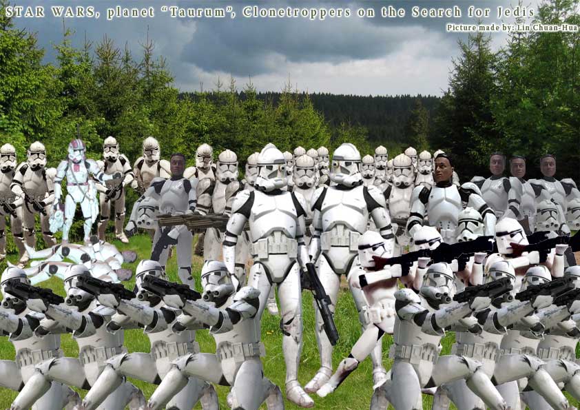 Order 66 - Taurum