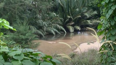 Reiseberichte – In der grünen Hölle von Kashyyyk