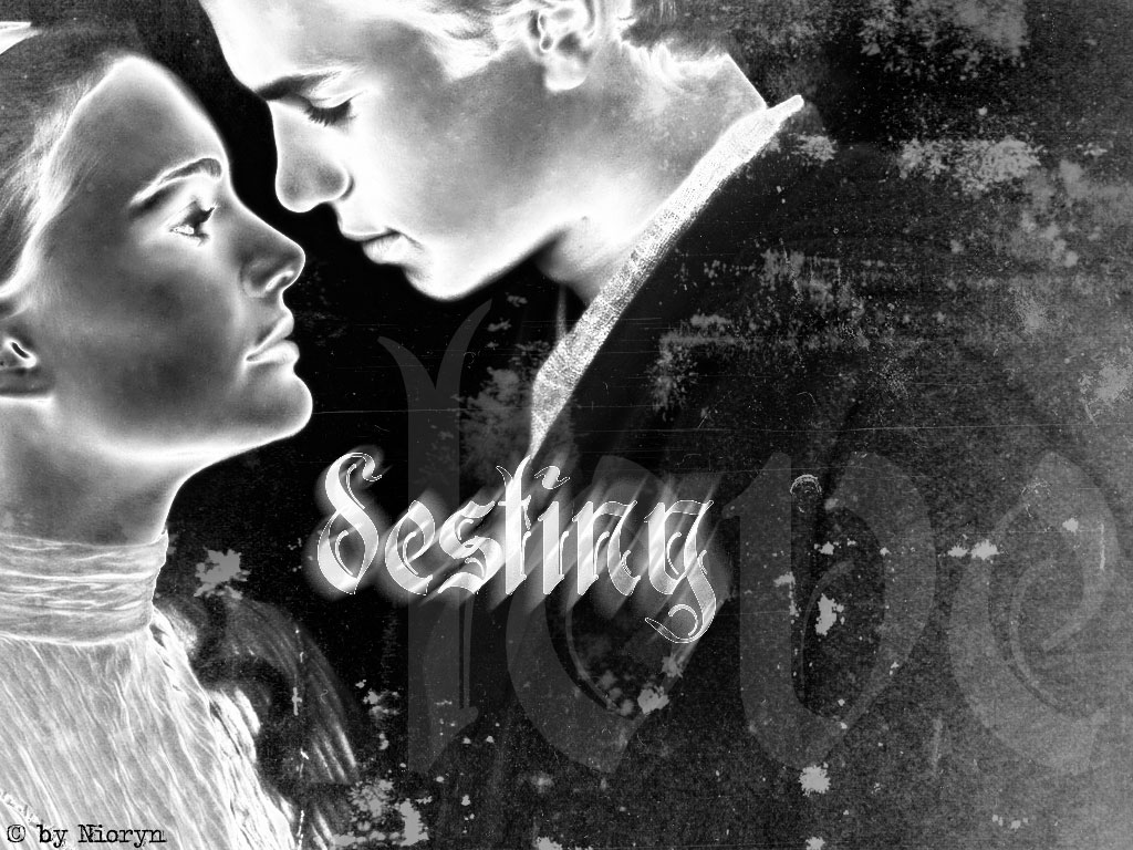 Anakin und Padmé (Destiny)