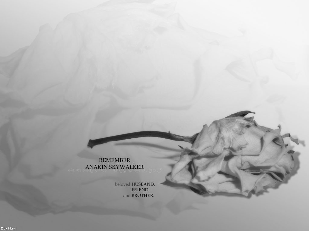 Anakin Skywalker (Nachruf)