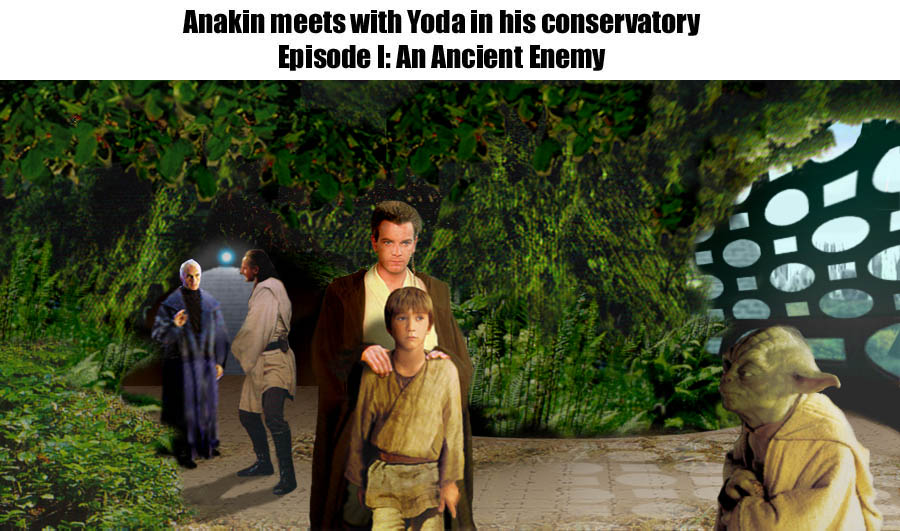 Anakin meets Yoda