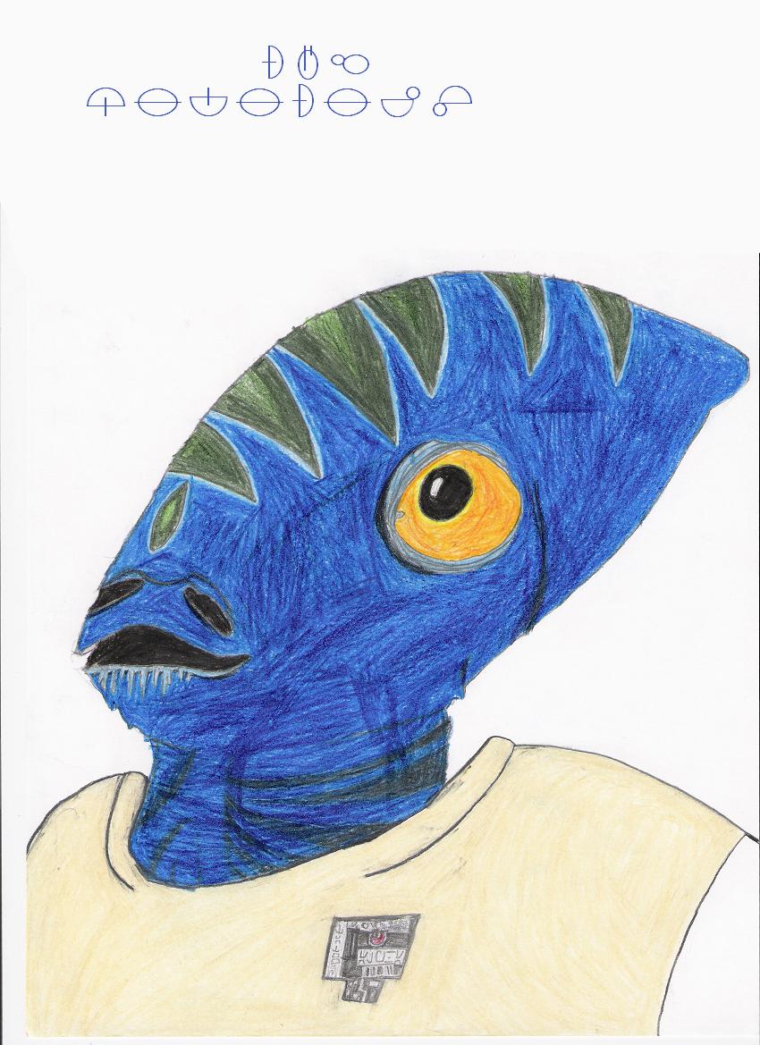 Commander Merak